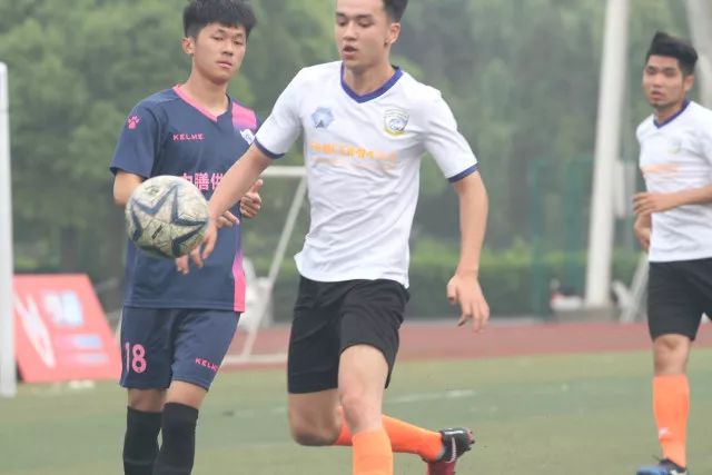 近期油价持续上升，国内汽油及小麦市场动态分析